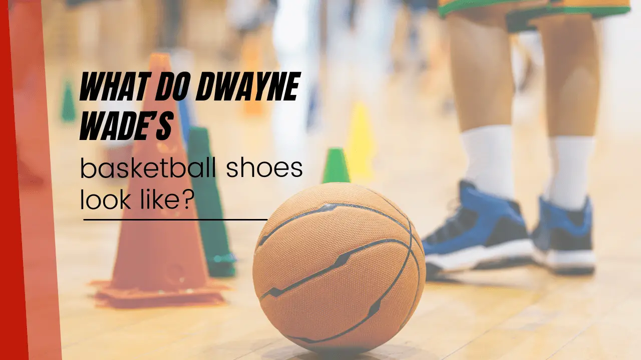 What do Dwayne Wade’s basketball shoes look like