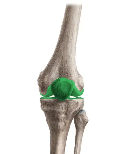 Build Stability Correct Motor Patterns Around Knee Joint