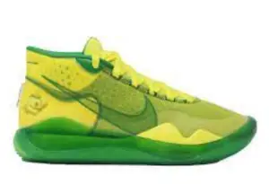 Nike Oregon shoes