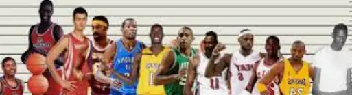 Point Guard Height