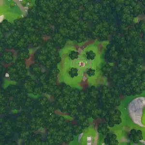 Basketball Shoes In Wailing Woods