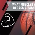 What Muscles Are Used To Pass A Basketball?