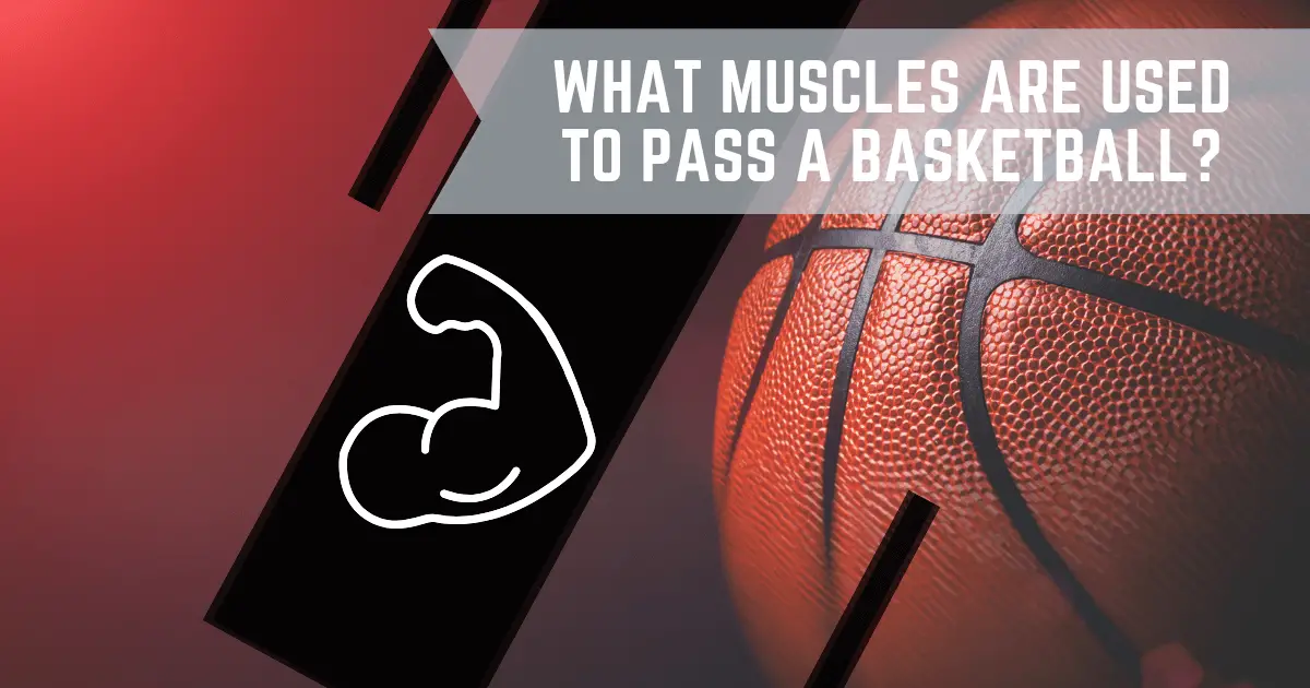 What Muscles Are Used To Pass A Basketball?