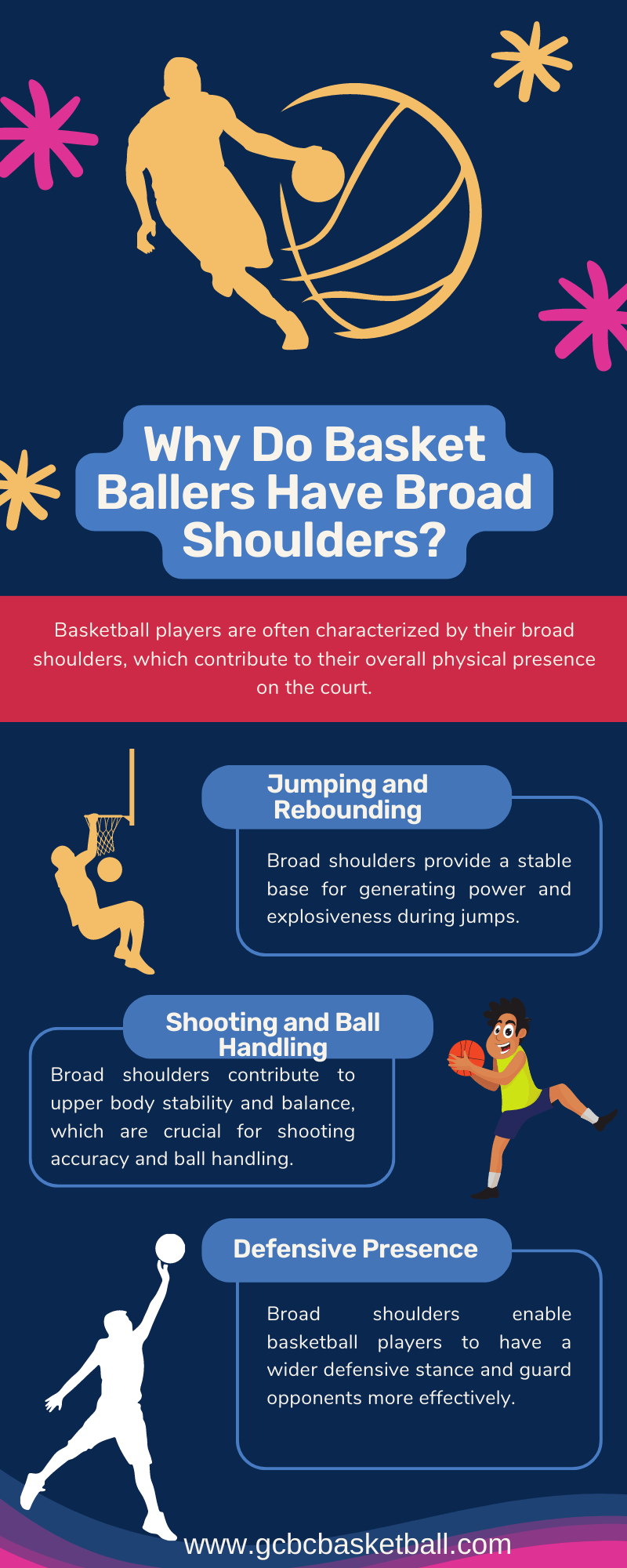 Why Basketball Players Have Broad Shoulders?