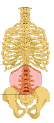 Strains & Sprains 