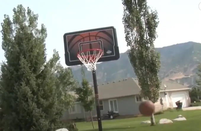 Lifetime 90040 Adjustable Basketball Hoop